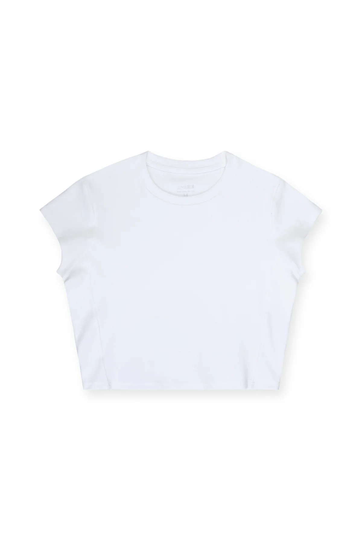 Cap Sleeve Rib Knit Crop Top - Ivory - Image 3