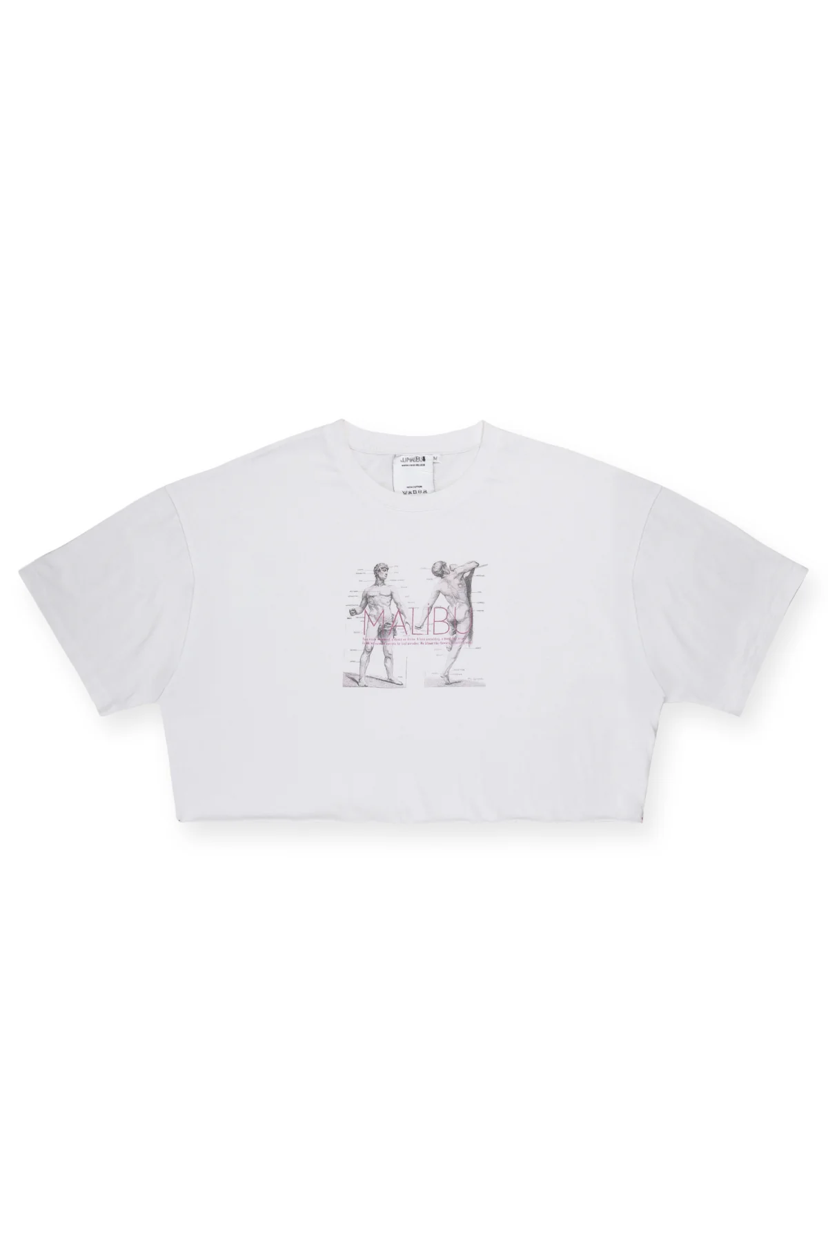 Vintage-Washed Drop-Shoulder Crop Tee - Anatomy - Image 2